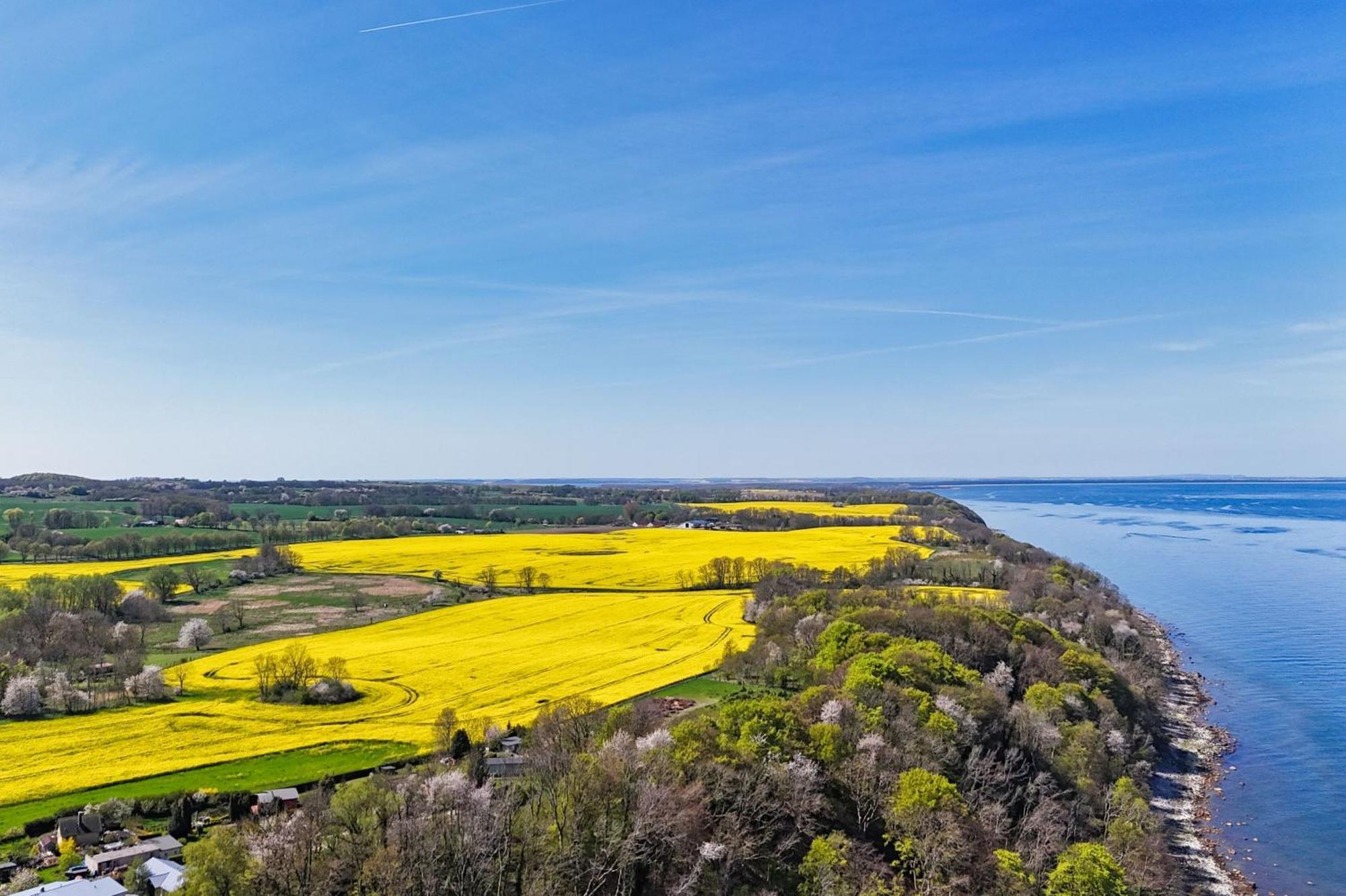 Ferienwohnung Mit Traumhaftem Meerblick - Haus Am Meer Fewo 10 Lohme Zewnętrze zdjęcie